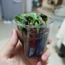 IAM City Farmer向日葵儿童种植盆栽种子学生植物观察窗发芽生长趣味diy植物10033 实拍图