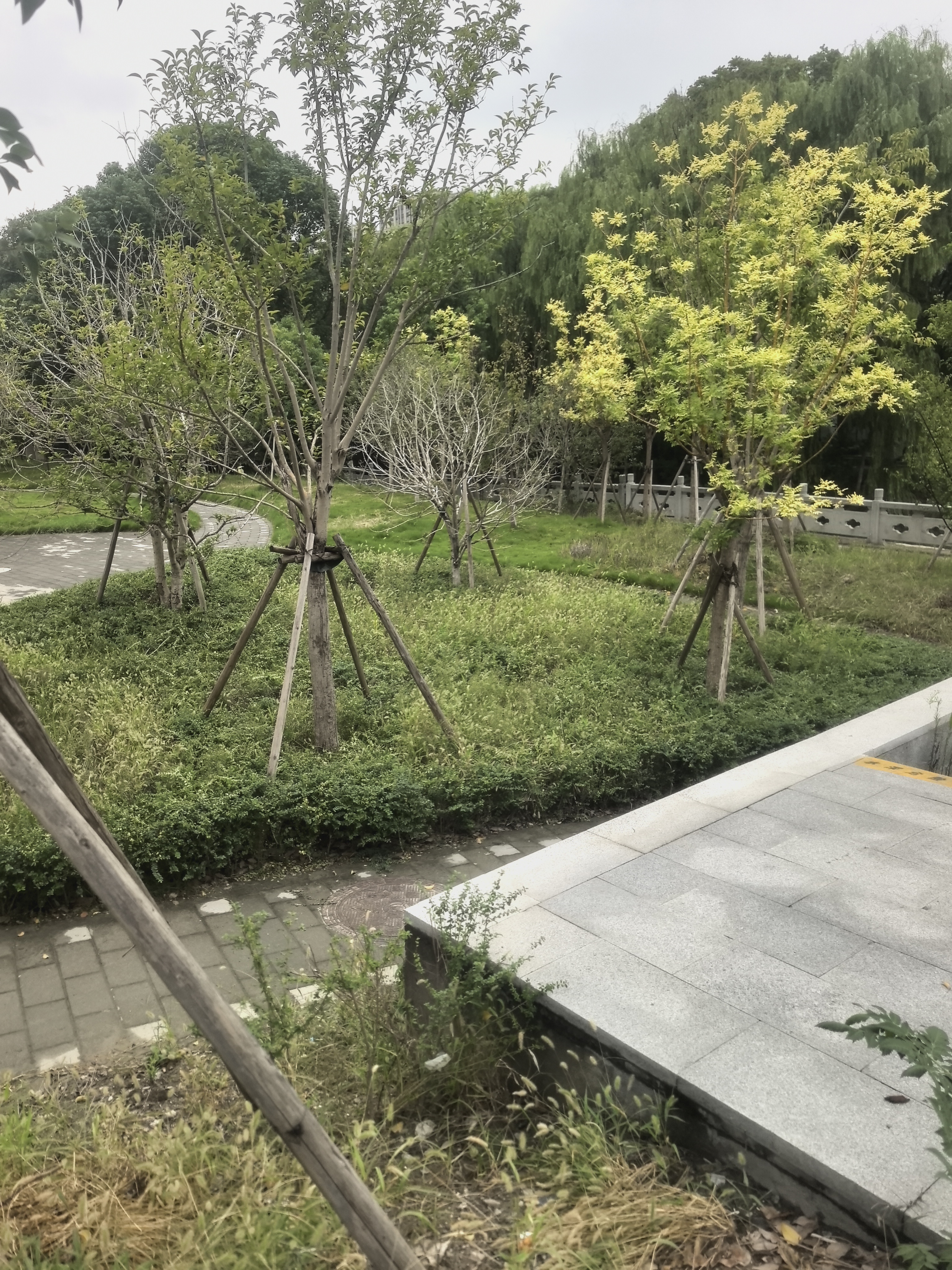 一途（YITU）宝马X3【18款-至今】雨刷器/雨刷/雨刮器原厂原装A级胶条 实拍图