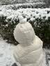 BLW BAWANLONG TOYS夹雪球夹子玩雪工具儿童打雪仗捏雪模具神器 小鸭子雪夹颜色随机【铁钉加厚款大号34cm】 实拍图