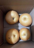 京喜加正宗秋月梨羊脂秋月梨冰糖秋月梨莱阳特产【五】 净重2-2.2斤装 实拍图