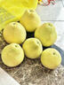 山姆大叔 玉环文旦柚【多地次日达】台州老树蜜白柚子非福建度尾水果礼盒 【清甜】3斤装 | 约1-2个 净3斤 【S+级】精选30年果|清香鲜甜 实拍图