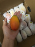 正鲜森顺丰云南元江小金凤凰芒果  小贵妃芒 又香又甜大金凤凰 大贵妃芒 精选小果5斤装【60-120g】 实拍图