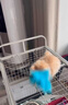 喵先生猫笼 别墅猫笼子超大号带厕所一体宠物猫窝家用猫屋猫舍猫咪笼子 置物架75款白色猫笼63*45*75cm 实拍图