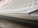 他米乐硬垫加硬神器薄椰棕沙发床板护脊椎腰软床变硬偏硬板太软改硬乳胶 高硬4.5cm (3cm环保棕) 送收紧带 1.8米*2米 实拍图