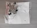 芯奢辣妹黑色蝴蝶项链女士y2k锁骨颈链choker项六一生日礼物送女朋友 庄生晓梦系列-项圈 实拍图