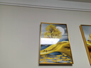 Sixpoetry 客厅装饰画现代简约沙发背景墙壁画轻奢三联晶瓷画大气高档挂画 福禄双收（铝合金外框） 晶瓷画左右35*50+中间70*50亮面 实拍图
