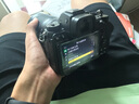 尼康（Nikon）Z 6II（Z6ii/Z62）全画幅微单数码照相机4K高清Volg摄像机学生 礼物 旅游 手持随身拍照片直播相机 Z 6ll+24-200一镜天涯镜头 套装二【日常家用含256G卡+ 实拍图
