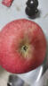 京鲜生 烟台红富士苹果 净重8斤  单果230g起 水果礼盒 实拍图