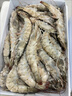 沃鲜汇 大虾海虾厄瓜多尔白虾南美对虾大青虾生鲜虾类海鲜水产进口鲜活 【推荐】40/50规格 1.65kg(净重)  盐冻款【净重3.3斤 只只分离】 实拍图
