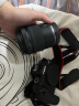 佳能（Canon）EOS R6 全画幅微单数码相机 单机身 实拍图
