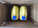 百适通（Prestone）防冻液 汽车冷却液 -37℃荧光黄 可混加长效水箱宝 3.78L AF2100 晒单实拍图