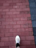 飞跃（Feiyue）官方帆布鞋男鞋女鞋少林魂田径跑步鞋低帮经典情侣休闲运动鞋子男 米蓝 39 偏大一码 实拍图