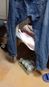 畅登 牛仔裤男春秋新款直筒牛仔长裤上班男裤休闲上班工作穿宽松男装 858深蓝常规 40 码/3尺 实拍图