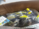 汉轩浇花水枪浇水喷头浇菜神器园林洒水花园水管软管家用高压洗车喷枪 10米6分套装（水枪+水管+接口） 实拍图