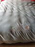 优雅宝贝 鸿润家纺 95%白鹅绒羽绒被 抗菌冬被 1400g 220x240cm 白色 实拍图
