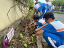 九千谷赶海工具大号 园艺赶海挖沙子挖土养殖种菜铲翻地松土3件套装1625 实拍图