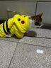 阿莫尔网红猫咪衣服秋冬季搞怪狗狗衣服可爱搞笑小型猫犬四脚衣连帽泰迪 皮卡丘变身装 L(建议8-10斤具体参考胸围背长) 实拍图