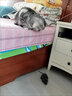 巫记遥控老鼠儿童玩具逗猫仿真老鼠成人解压整人整蛊遥控模型道具礼物 仿真遥控老鼠 实拍图