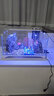 爬将军新款鱼缸生态超白玻璃缸家用客厅办公室桌面养金鱼斗鱼水族箱造景 50CM缸【世外桃源套餐】+养鱼大礼包 实拍图