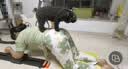 SEAN LEE多功能健身板自动回弹家用健身器可折叠卷腹练腹肌神器减肥健腹板 黑色【分体式健腹板】 实拍图