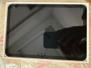 Apple/苹果 iPad mini(第 6 代)8.3英寸平板电脑 2021年款(256GB WLAN版/MLWR3CH/A)粉色 实拍图