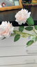 凉笙仿真牡丹花玫瑰花束婚庆家居客厅落地装饰软装搭配干花假花绢花插花摆件 肉粉色-单枝 实拍图