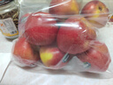 京鲜生 新西兰Dazzle丹烁苹果12粒特级果单果130-170g 生鲜水果礼盒 实拍图