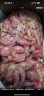 寿禾 四季红葱头小葱种子小火葱四川干皮春冬季蔬菜莱疏菜阳台种种籽 红葱头 1斤 实拍图