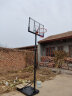 双航 篮球架 室内家用篮球框球架 户外可升降可移动标准高度篮球架 018S成人升级款(篮筐1.7-3.05米) 实拍图