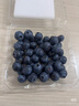蒲恋秘鲁蓝莓【多地次日达】进口精选花香蓝莓新鲜水果中秋节送礼品 【110g-125g】*4盒【聚划算】 优质【单果15mm+ 】推荐~ 实拍图