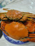 三门青蟹 公蟹（2只）单只8两-1斤 生鲜活螃蟹海鲜水产送礼盒装 晒单实拍图
