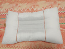 博洋家纺棉麻枕头荞麦枕芯单人花草枕单只装 沐眠45*70cm 实拍图