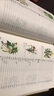 图解本草纲目（图文并茂，直观形象，教你辨识本草。实用养生防病秘方，一看就懂，一学就会，随查随用） 实拍图
