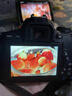 佳能 Canon 700D 650D 600D 550D 800D入门级高清旅游数码二手单反相机 650D+永诺50mmF1.8二代小痰盂套机 9新 实拍图