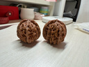 彩荷青皮文玩核桃野生麻核桃四座楼狮子头白狮子满天星盘龙纹官帽 四座楼狮子头 带皮尺寸63-64mm一对 实拍图