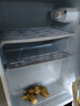 华宝小冰箱小型家用出租房用冷藏冷冻两用一级能效节能省电迷你宿舍寝室办公室二门电冰箱 【一级能效】86L银色【三天约一度电】 实拍图