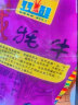 可可西里招牌牦牛肉干多种口味独立小包青海西藏特产休闲零食小吃 400g五香 实拍图