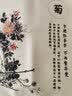 万燊中式抱枕靠垫套含芯梅兰竹菊客厅红木沙发靠枕书房茶室禅意靠垫 D款-菊 50x50cm(枕套+枕芯) 实拍图