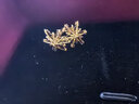 周六福（ZLF）  黄金耳环女款5G足金甜美小清新雪花耳坠耳钉 计价 1.45g 实拍图