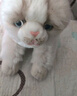 科迈特高仿真立体布偶猫公仔背包毛绒玩具女孩双肩包挎包生日礼物送女生 实拍图