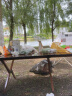 TANXIANZHE探险者户外折叠桌碳钢蛋卷桌露营桌子野餐桌椅便携式露营野炊装备 晒单实拍图