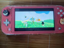 任天堂（Nintendo） NS主机Switch Lite mini NSL掌上便携游戏机 珊瑚粉 实拍图