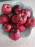 金百粟甘肃天水花牛苹果粉面红蛇大果 老人婴儿当季新鲜苹果水果生鲜 5斤12枚精品75-80mm[苹果礼盒装] 实拍图