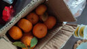 尔蝶广西砂糖橘桔子蜜橘10斤新鲜水果当季薄皮沙糖桔整箱橘子 精选1斤装 净重0.8斤 实拍图