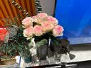 悦多彩优质水养鲜切花 母亲节三八节花束 昆明基地现采直发顺丰生活鲜花 随机单头玫瑰10支+尤加利5支 实拍图