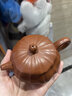 陶舍轩 原矿大红袍【西施】泡养效果好  茶具正宗宜兴手工紫砂茶壶 筋纹（降坡泥） 200ml 实拍图