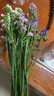 云南勿忘我干花花束真花鲜花发货自然风干客厅装饰摆设件茶几送人 6色混搭+草 10支(长35厘米) 实拍图