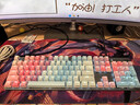 罗技（Logitech）K845机械键盘 有线键盘 办公电脑打字键盘  电竞游戏发光全尺寸个性化定制键帽 K845红轴+蓝色妖姬键帽+桌垫 实拍图
