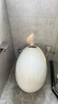 大卫伯爵新款鸡蛋形创意智能马桶全自动一体式 感应电动马桶即热坐便器 豪华版【陶瓷水箱 无水压限制】 305/300mm 实拍图