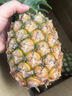 特价金钻凤梨新鲜大果菠萝整箱水果风梨手撕现货直发脆甜多汁凤梨 1个装小果 单果400g起 实拍图